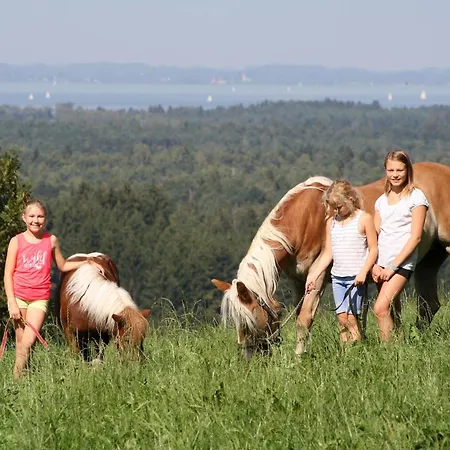 Cafe Wastelbauerhof - Urlaub Auf Dem Bauernhof Farm stay Bernau am Chiemsee